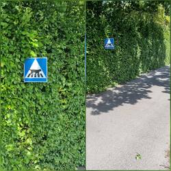 🤣 Auch noch nicht gesehen..