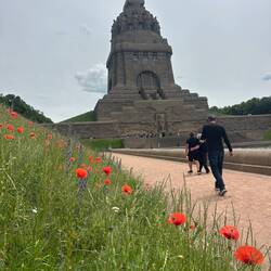 Ein langer Fussmarsch bis zum Denkmal - unsere Vespis warten brav.
