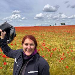 Zisi und der Mohn