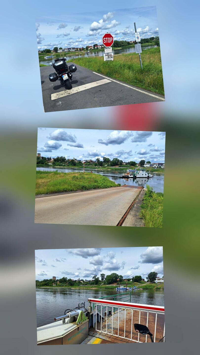 Mit der Rogätzfähre über die Elbe (4,80 €)