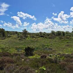 spaziergang zum südkapp (Lindesnes Fyr)