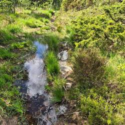 "very wet" spaziergang zum südkapp (Lindesnes Fyr)