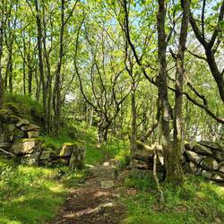 spaziergang zum südkapp (Lindesnes Fyr)