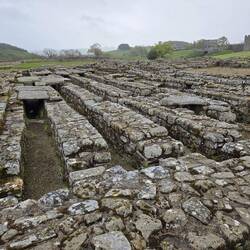 Roman Fort