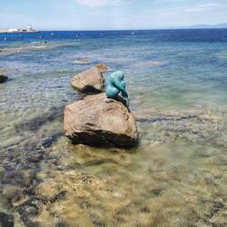 Le petit sirene