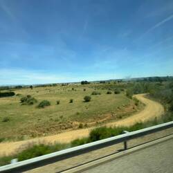 View from the bus.
