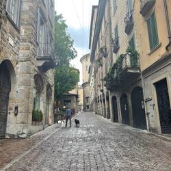 Our street