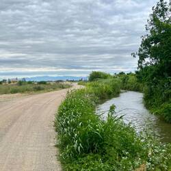 Le long des canaux qui irriguent les plaines agricoles