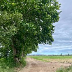 Paysage plat, plat, plat. En plein vent de face