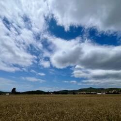 Dégagé au sud, nuageux au nord. Pas de bol, je vais au nord
