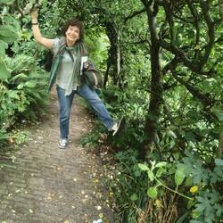 Elfie in the elf forest