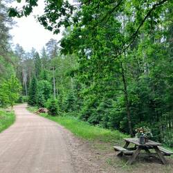 Allen Kilometer Rasttisch mit Blumen
