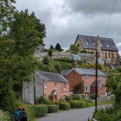 Ladies with dogs at Nantmawr
