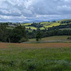Baker's Hill