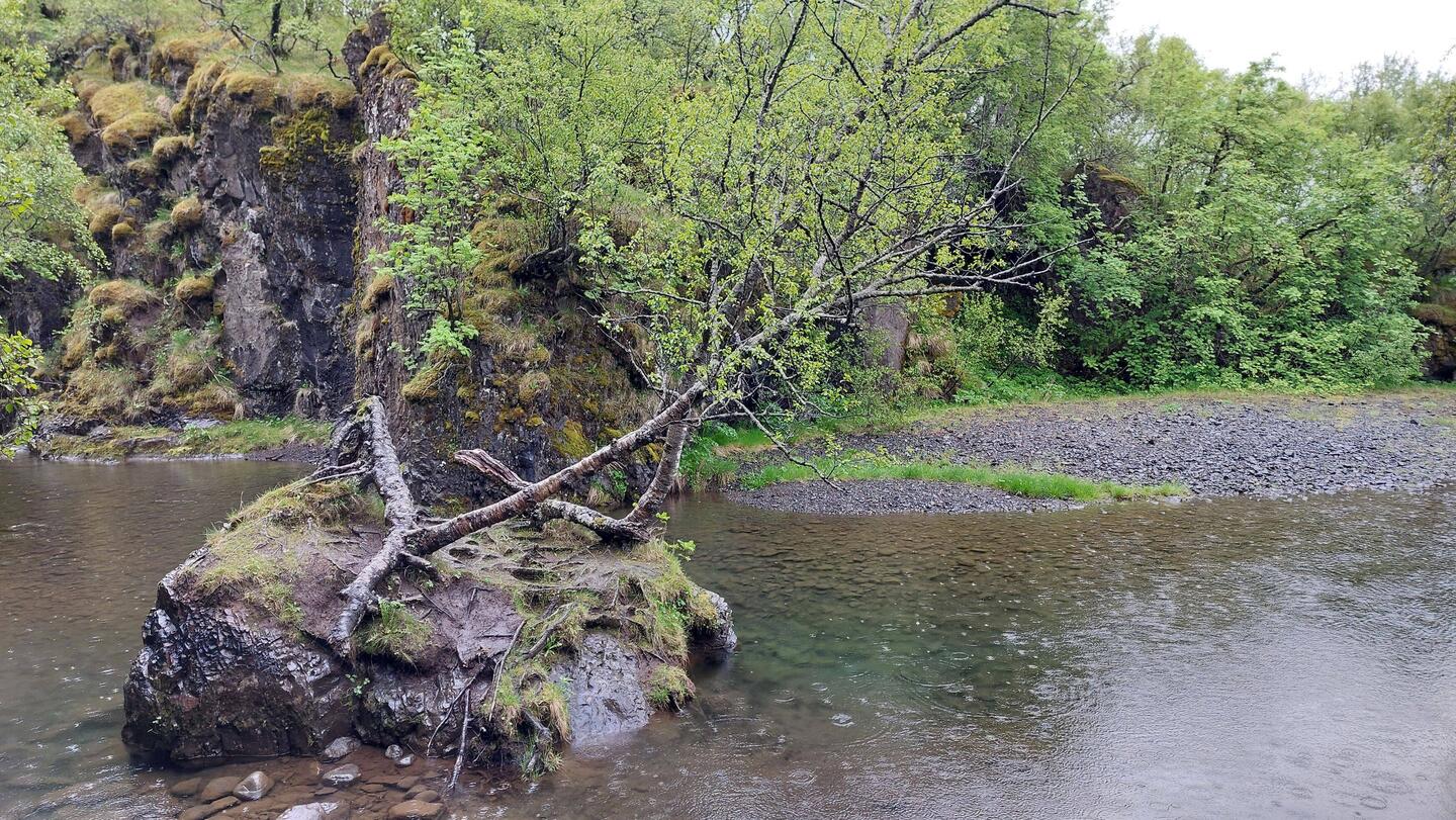 Skaftafell Walk 1; Lambhagi, one of the oldest visible ancient monuments in Skaftafell