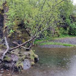 Skaftafell Walk 1; Lambhagi, one of the oldest visible ancient monuments in Skaftafell