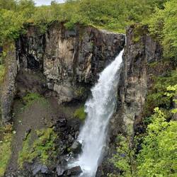 Svartifoss