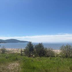 Back at camp, after dropping us off, the fog lifted!