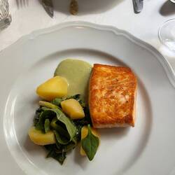 Salmon
