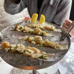 Razor clams