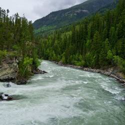 In de Rocky Mountains heb je de waterkering: de rivieren verbonden met de Pacific bevatten zalm.