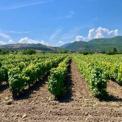 Das ist eine Weinregion