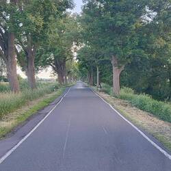 Siehe die Buckelpiste