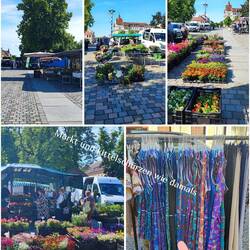 Markt in Ruppin