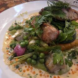 Sturgeon fish main