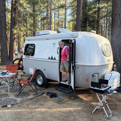 Nice little spot, lots of big pine trees