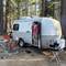 Nice little spot, lots of big pine trees