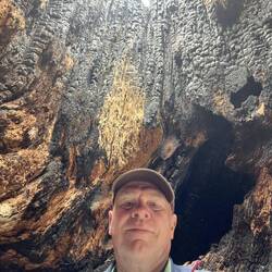 Me inside the burl.