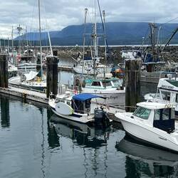 Docked at Malcome Island Lions Harbour in Sointula.