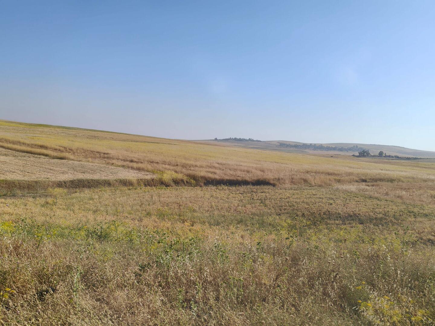 Wheat fields - there were many donkeys used to transport the baled wheat