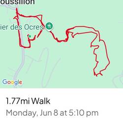This afternoon's hike