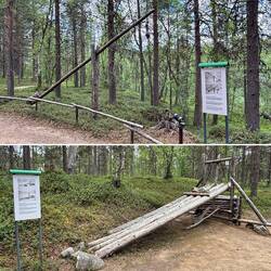 Fallen für Wolf und Bär