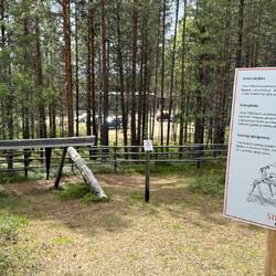 Sägewerk