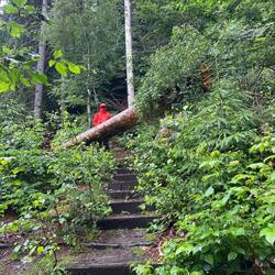 Ein Männlein steht im Walde ...
