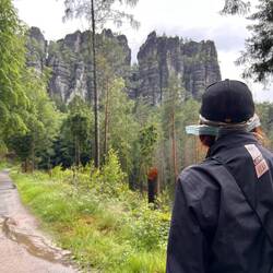 Zisi Blick beim Rückweg auf die Schrammsteine.