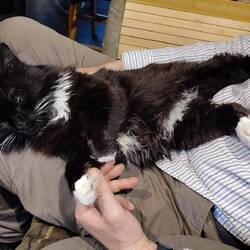 Whiskers didn't want to say goodbye to Al. We locked him inside to make sure he didn't follow.