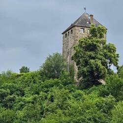 Ruine Sayn