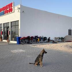 Hier an der Tankstelle nochmal mit der süßen aber lauten Hündin