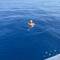 Kurzer Stopp im tiefblauen Meer