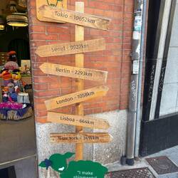 Our serendipitous wool store.