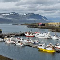 Djupivogur harbour