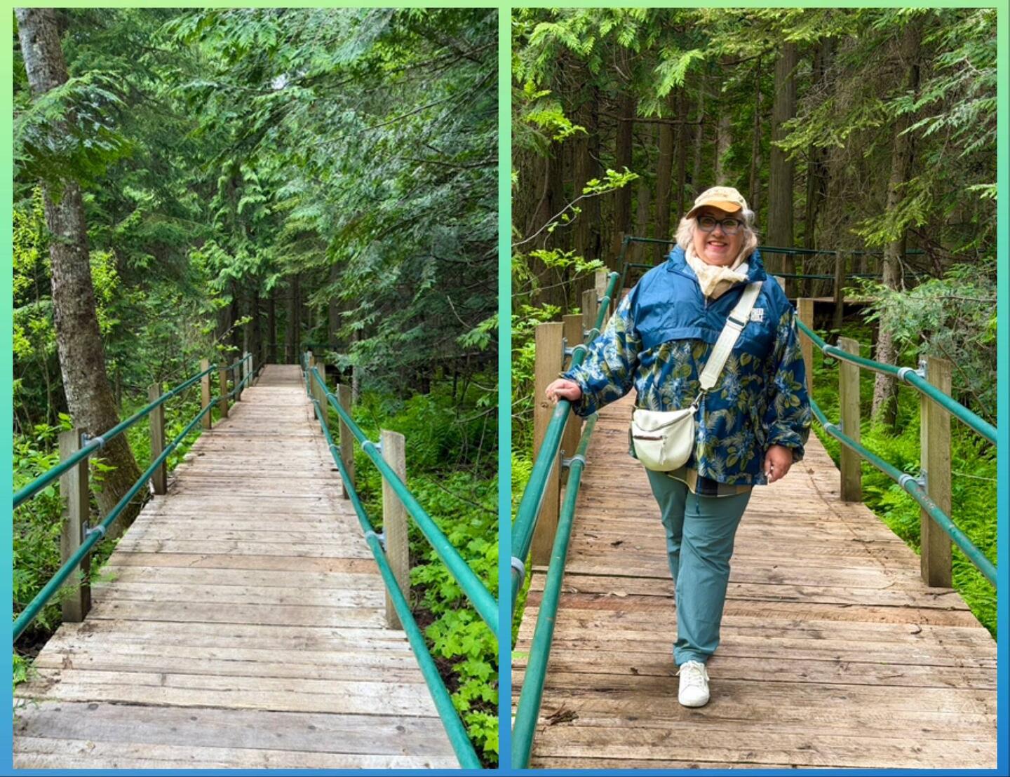 Auf dem Hemlock Grove Boardwalk