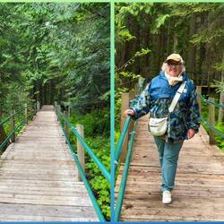 Auf dem Hemlock Grove Boardwalk