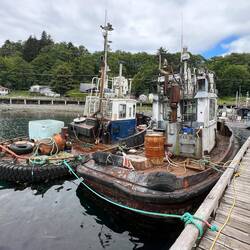 These two tugs in the Alert Bay Harbour have seen better days.