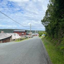 Homes along the street I walked to town. It's amazing how thick the trees and vegetation is up here.
