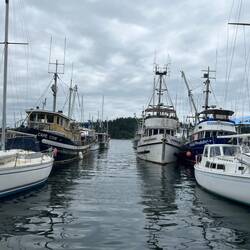 They pack them in tight here, rafted two and sometimes three, wide.